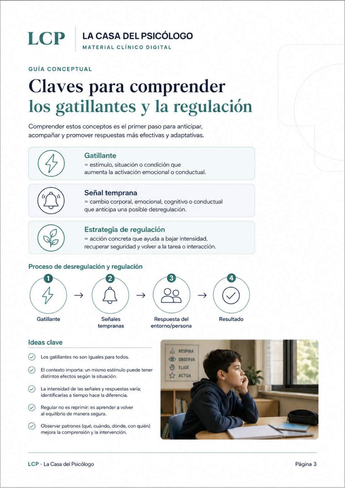Vista 3